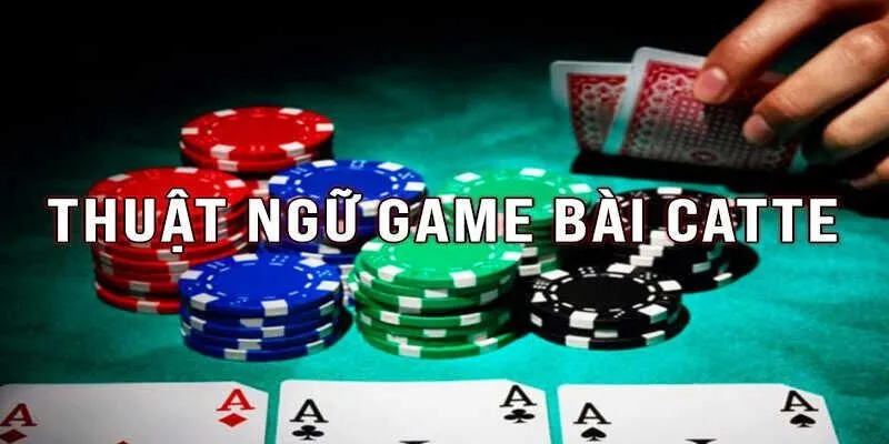Áp dụng cách chơi bài catte hiệu quả nhất